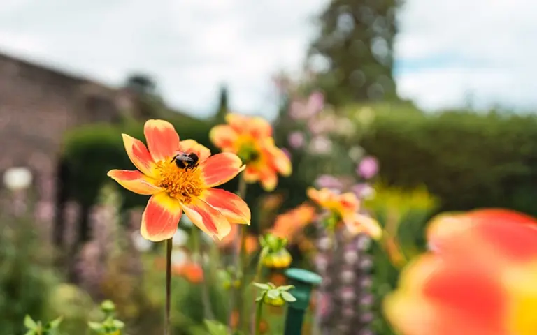 soft light photoshop actions free, photoshop photo fix actions free