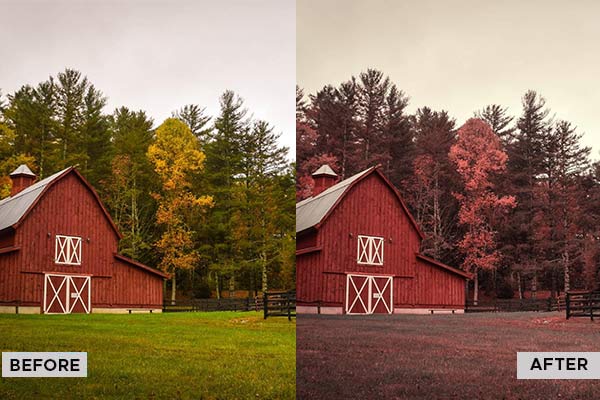 Boris FX Optics Review