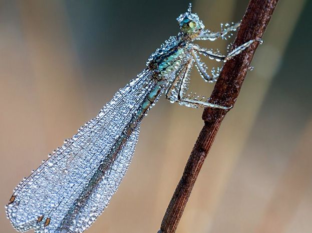 Create Super Sharp Image