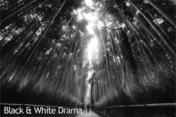 Black & white drama filter preview