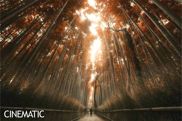 Cinematic filter preview in Raya Pro