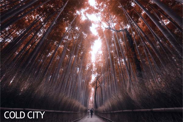 Cool city filter preview in Raya Pro
