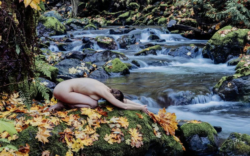 master this beautiful art with these resources