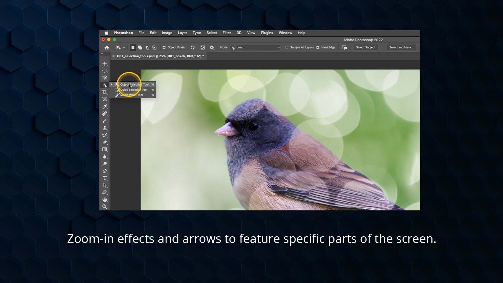 Course snapshot showing zoom in effects and arrows