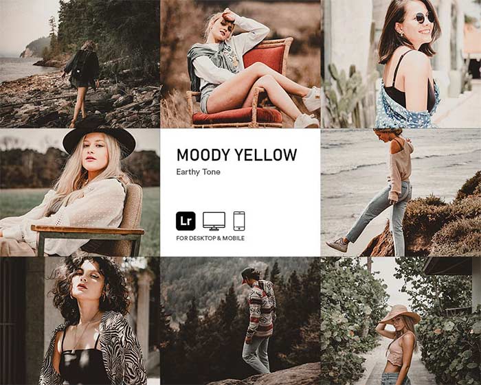 Lightroom preset moody yellow preview