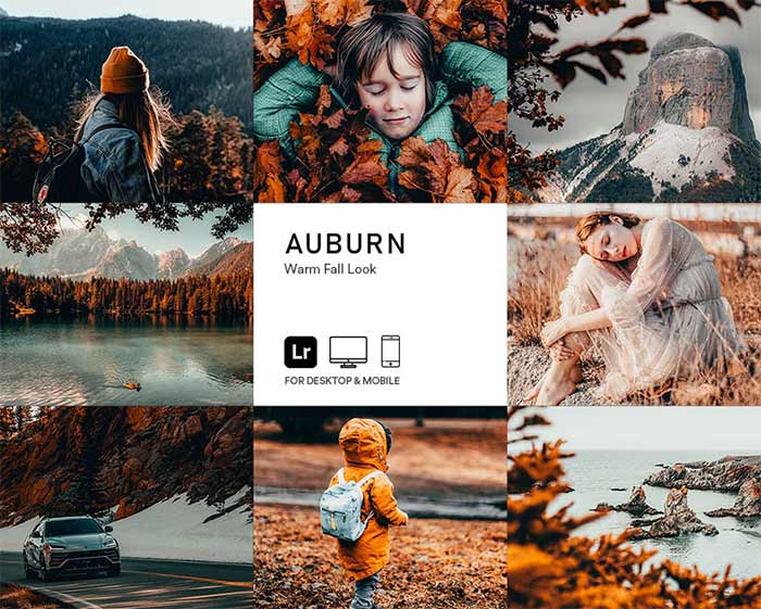 preset_auburn