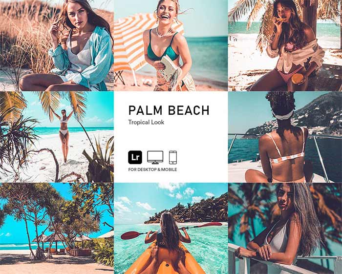 Lightroom preset palm beach preview