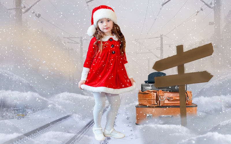 winter themed holiday photo backdrops