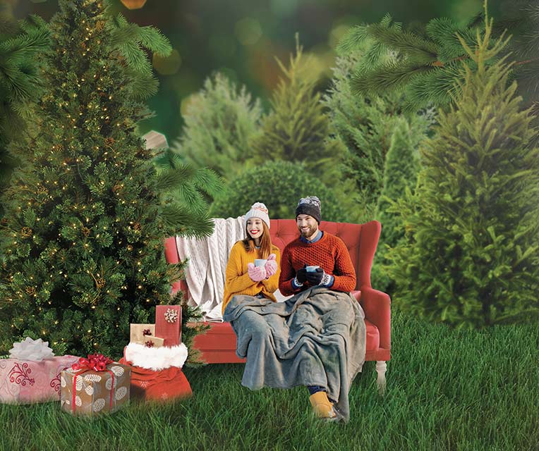 holiday photo backdrops