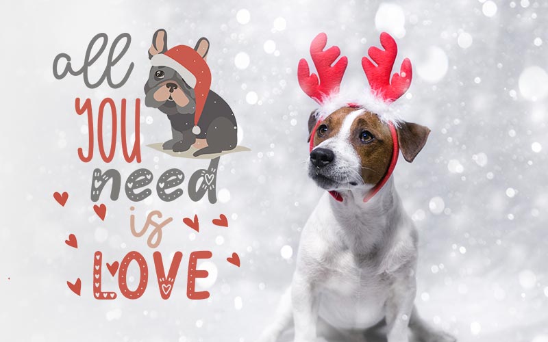 cool overlays for Photoshop, Christmas overlays and backgrounds