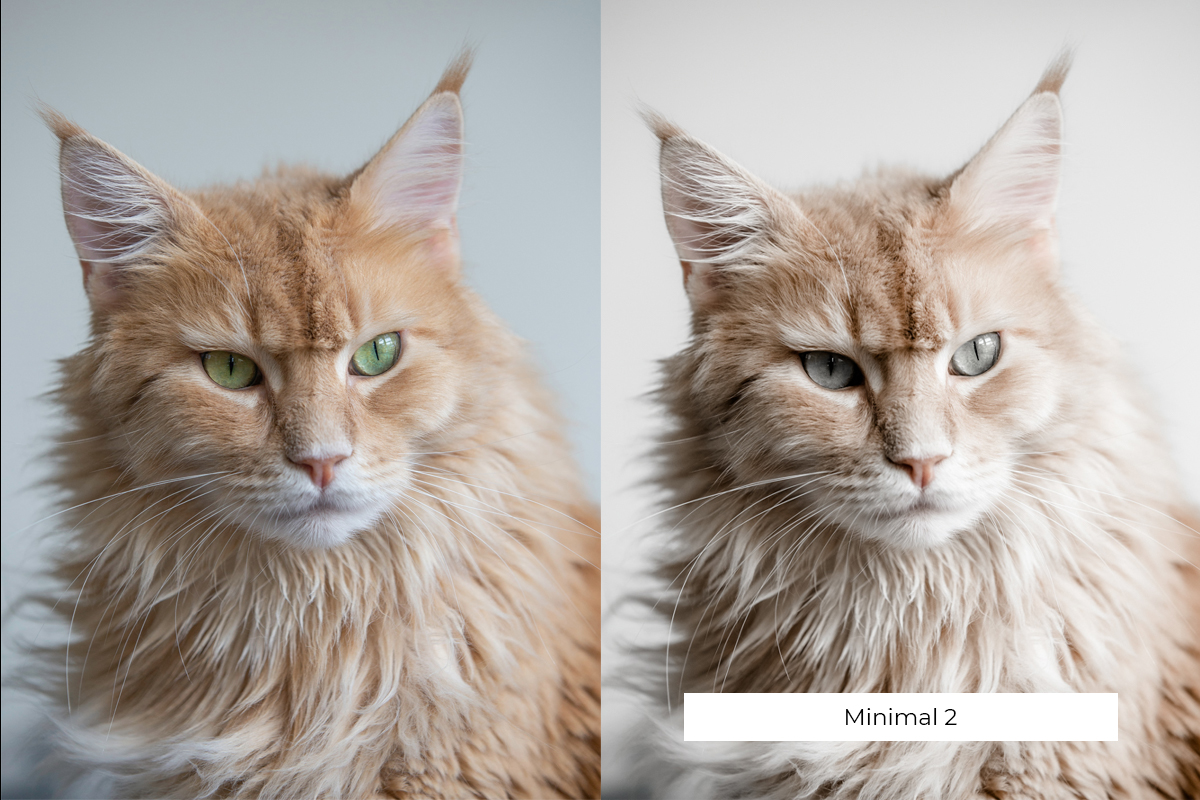 presets