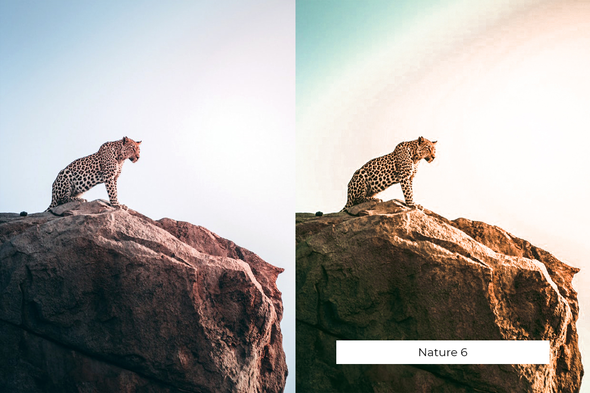 lightroom presets high quality