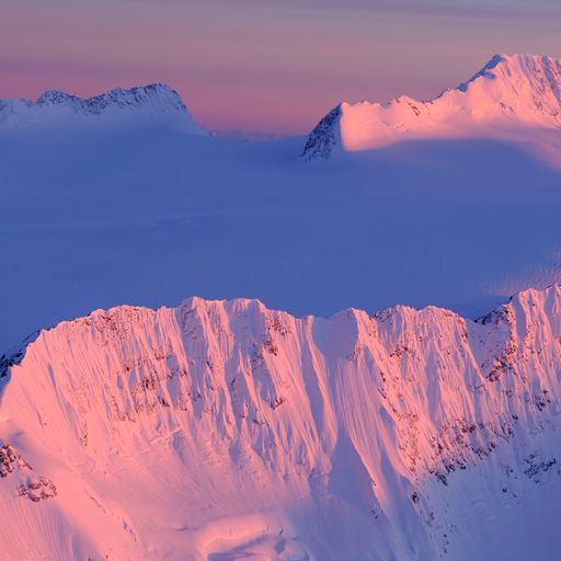 Dan Bailey Interview image