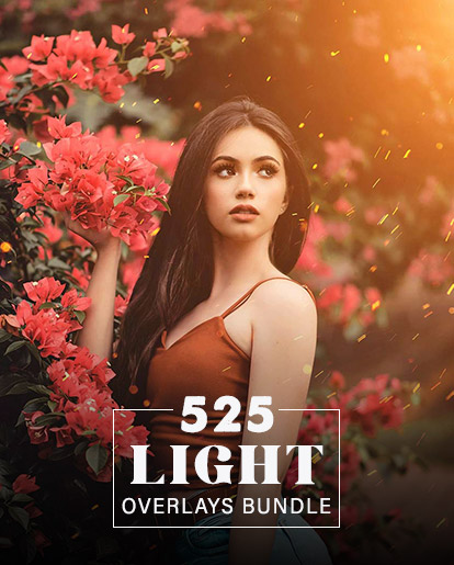 Light overlays bundle feature image