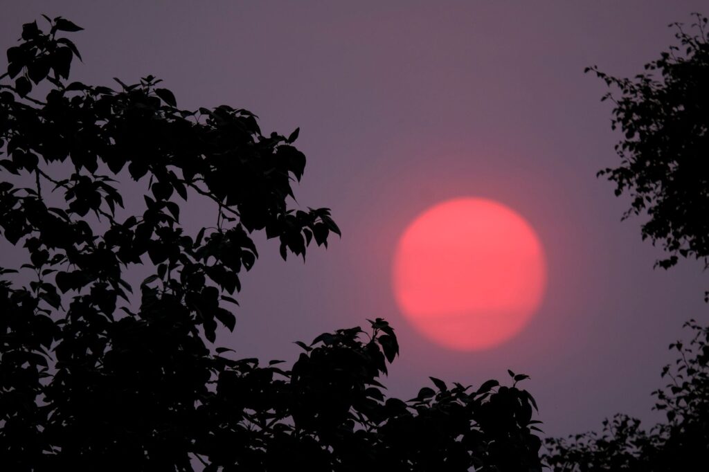 Dan Bailey Interview Image