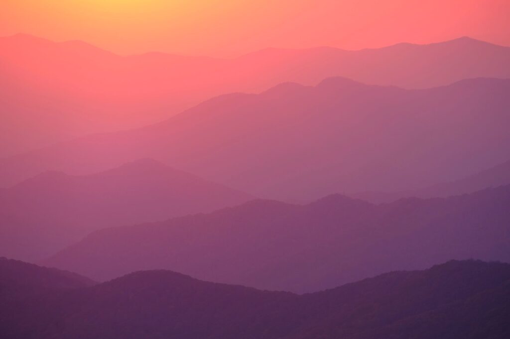 Dan Bailey Interview Image