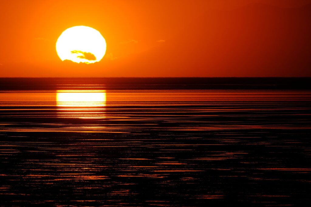 Dan Bailey Interview Image