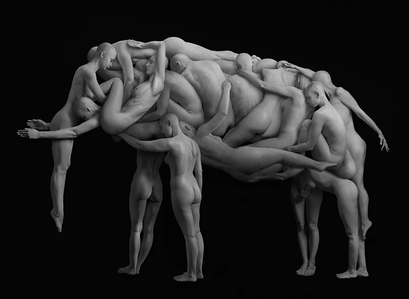 Elephant creative photography by alex svirid, Best photo editing