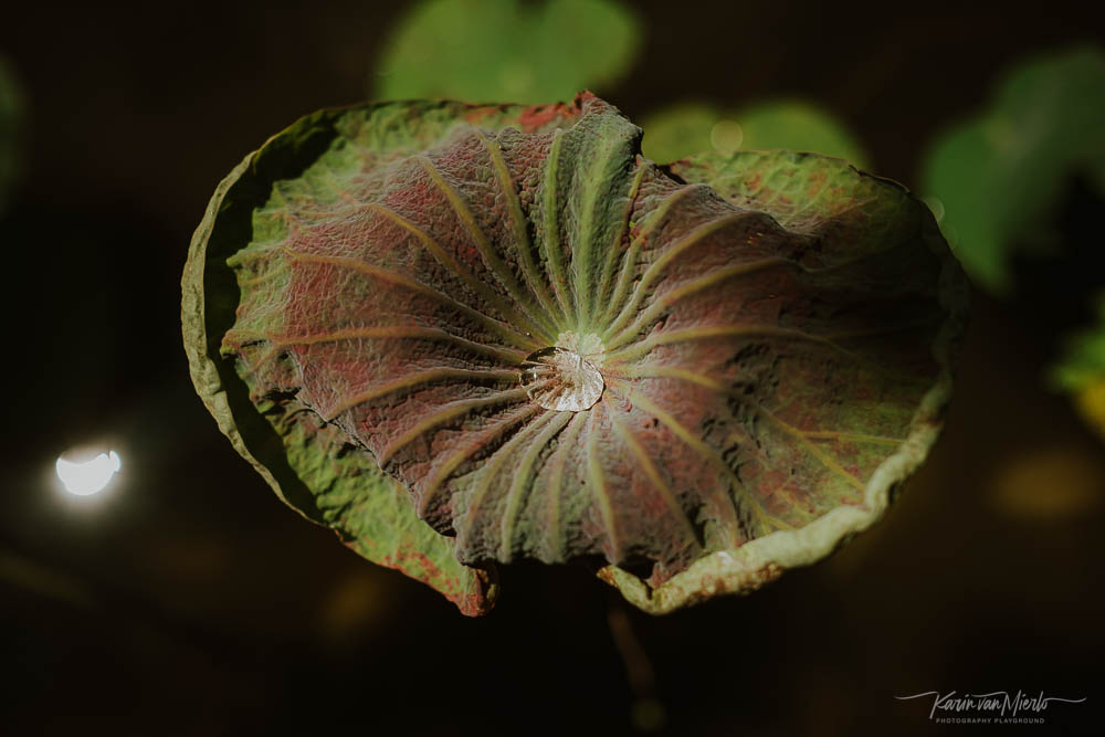 creativity as self-care-2