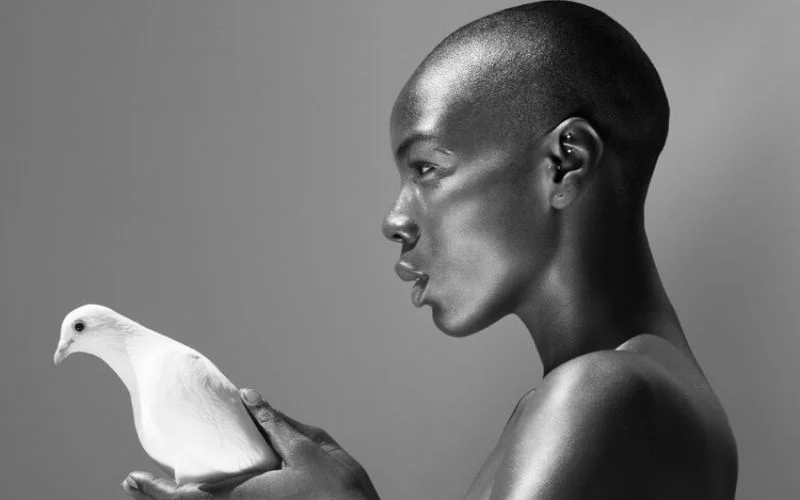 celebrity nude photographers, sensual fine art, natural light nude