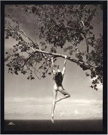 Patrick Demarchelier nude photography books