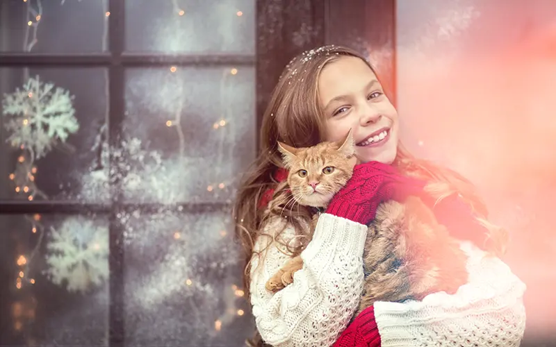 christmas overlays photoshop free