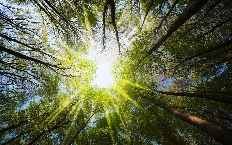 lens flare overlay free download