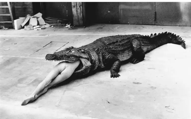 controversial nude photography