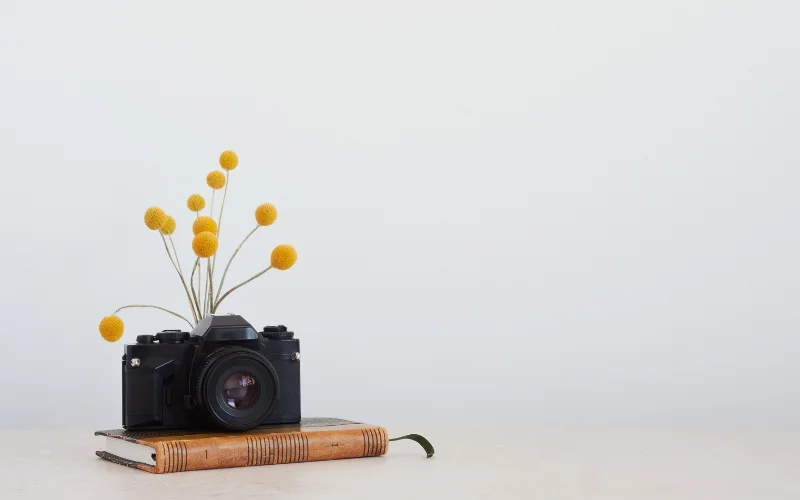 simple image of a eaten cake