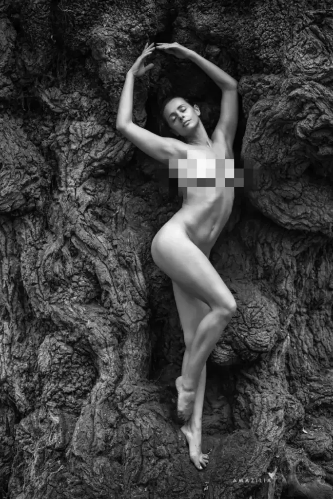 amazilia photography Paul Veron