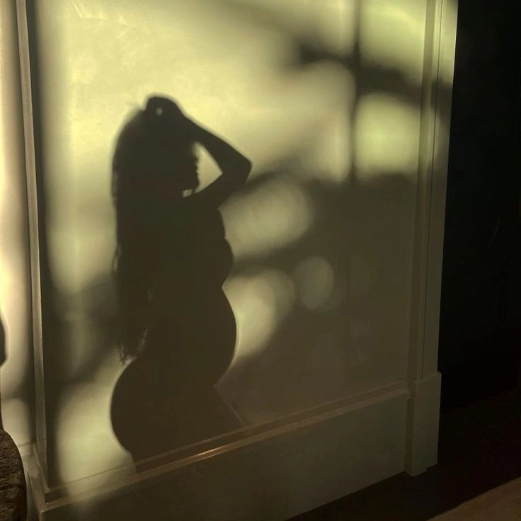 Kylie Jenner Pregnancy photoshoot, Kylie Jenner nude pregnancy photos, Silhouette nude photos