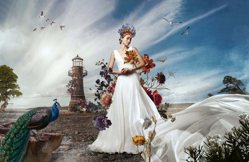 Artistic photographers