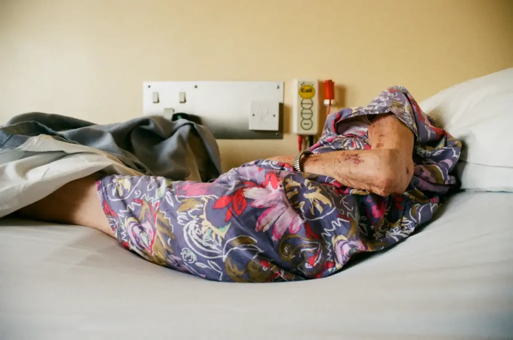 the last months by sophie harris taylor