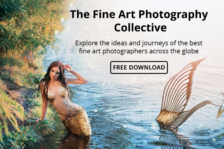 fine art interviews freebie banner