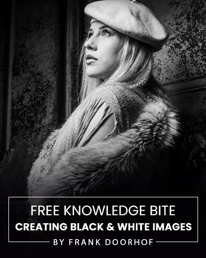 free-knowledge-bite-b&w-feature-image