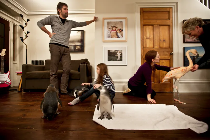 reconsidered by Kristina Loggia