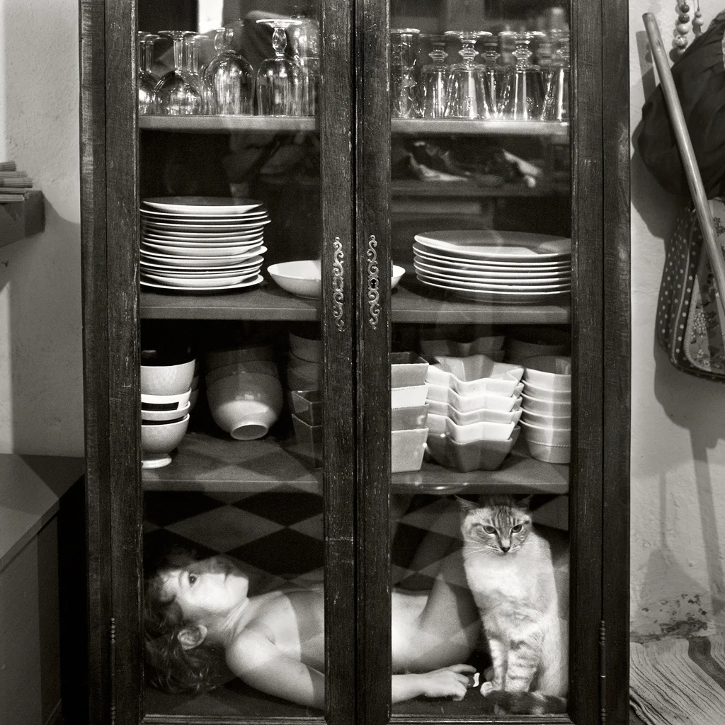 A boy and a cat in cupboard
