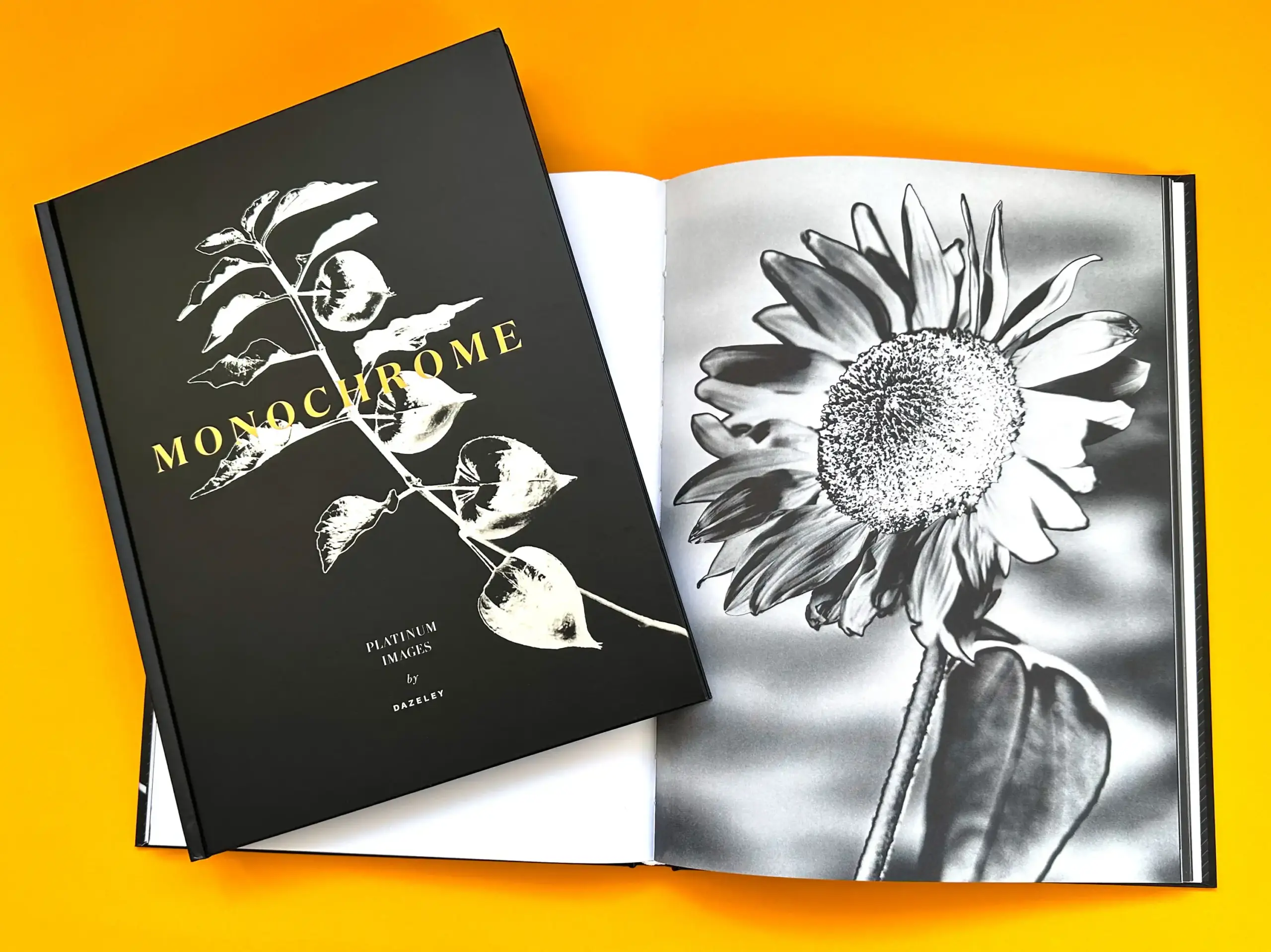 monochrome book by peter dazeley