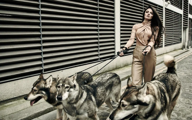 soulla petrou's art-1