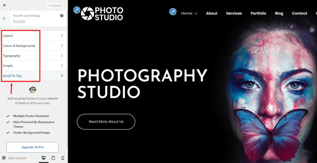 footer customizer options