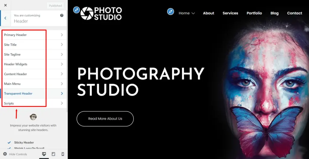Header customizer options