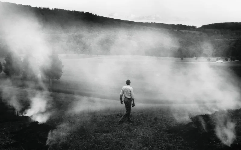 from darkroom to daylight