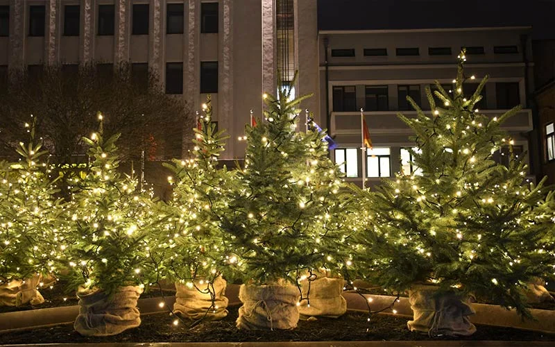 green bokeh background, green bokeh overlay, nature bokeh overlay