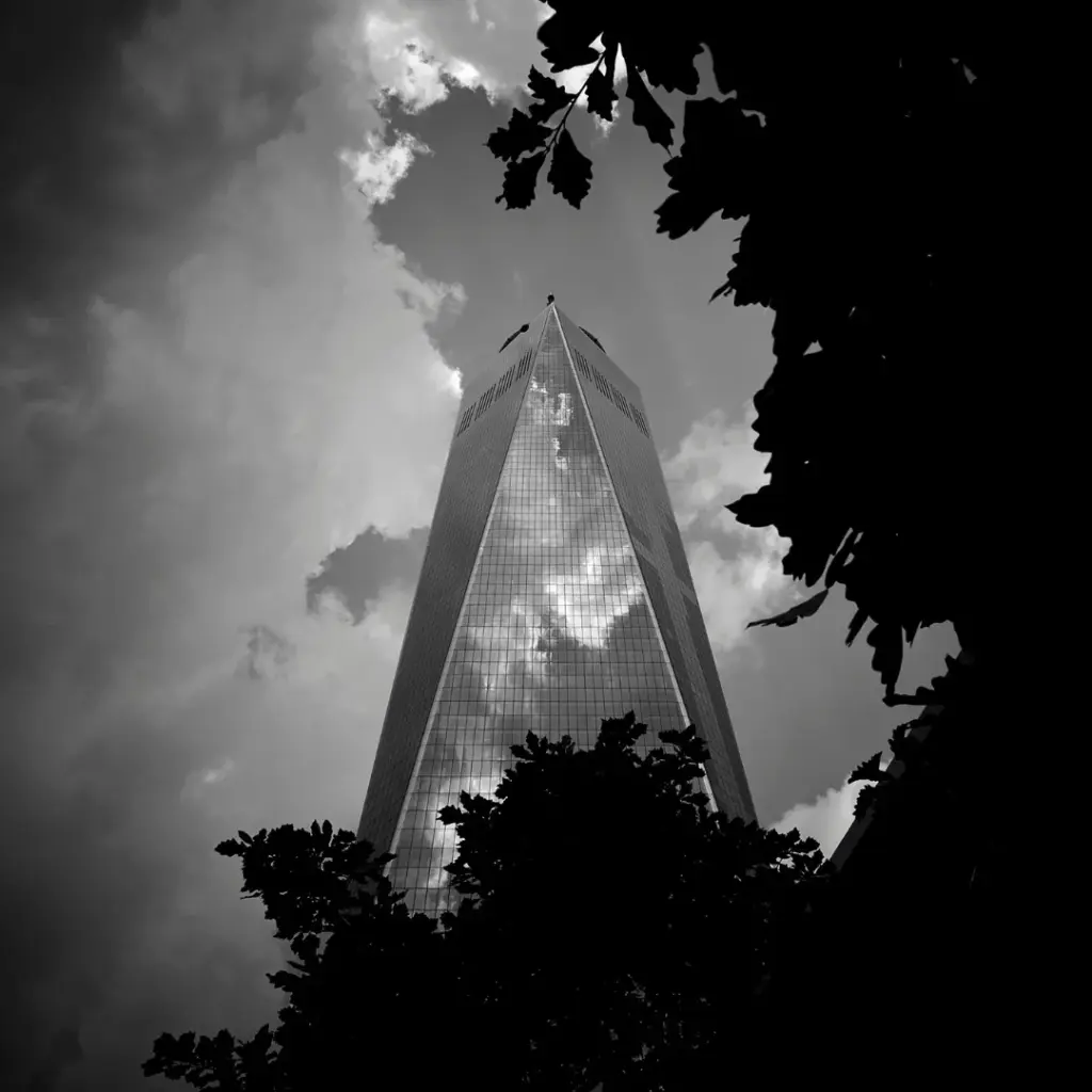 artwork by professional photographer