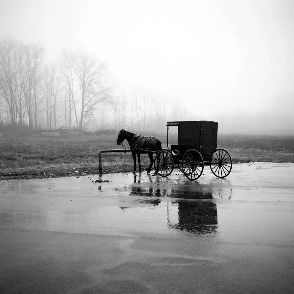 stunning images by professional photographer peter defty