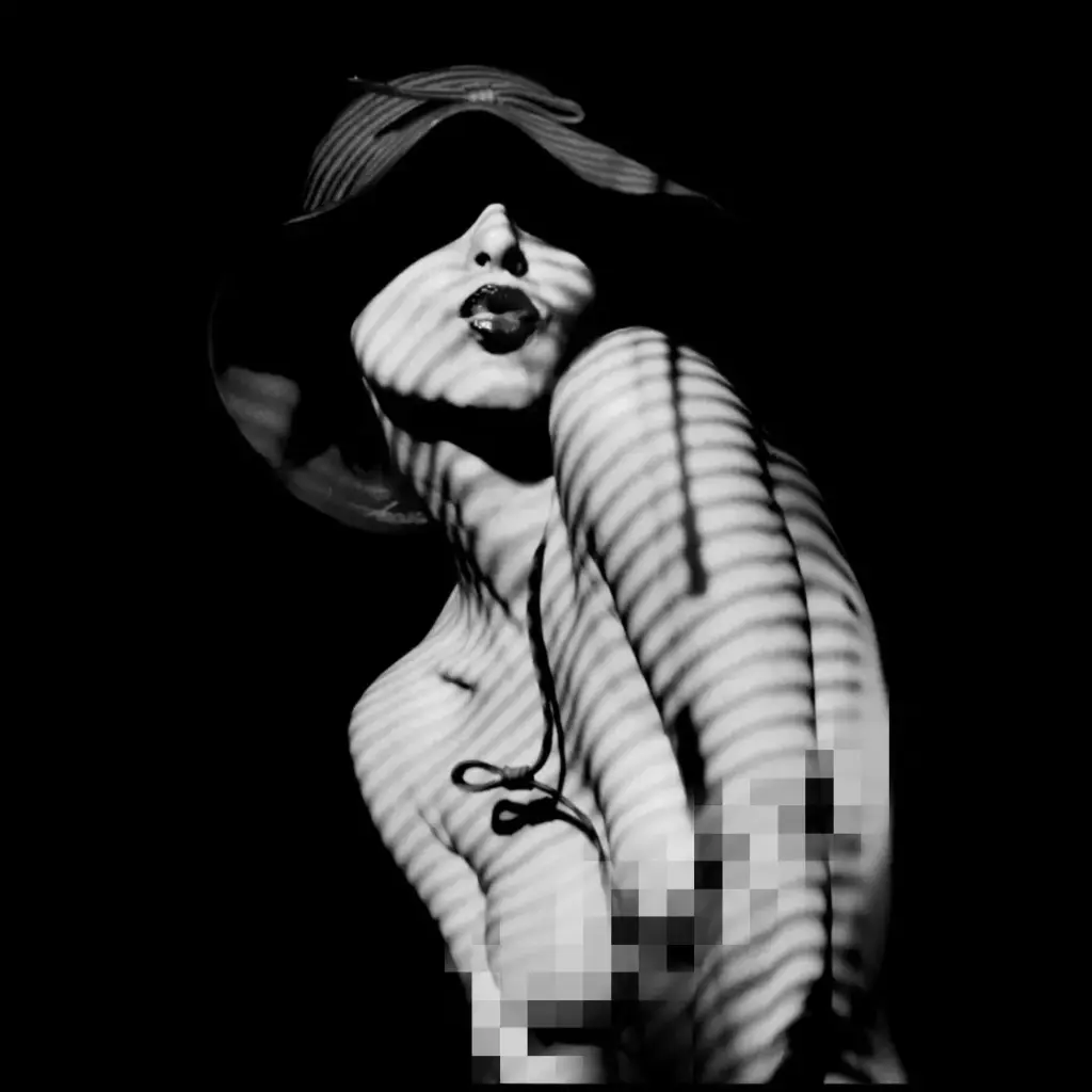 Zebra classics | black and white nude