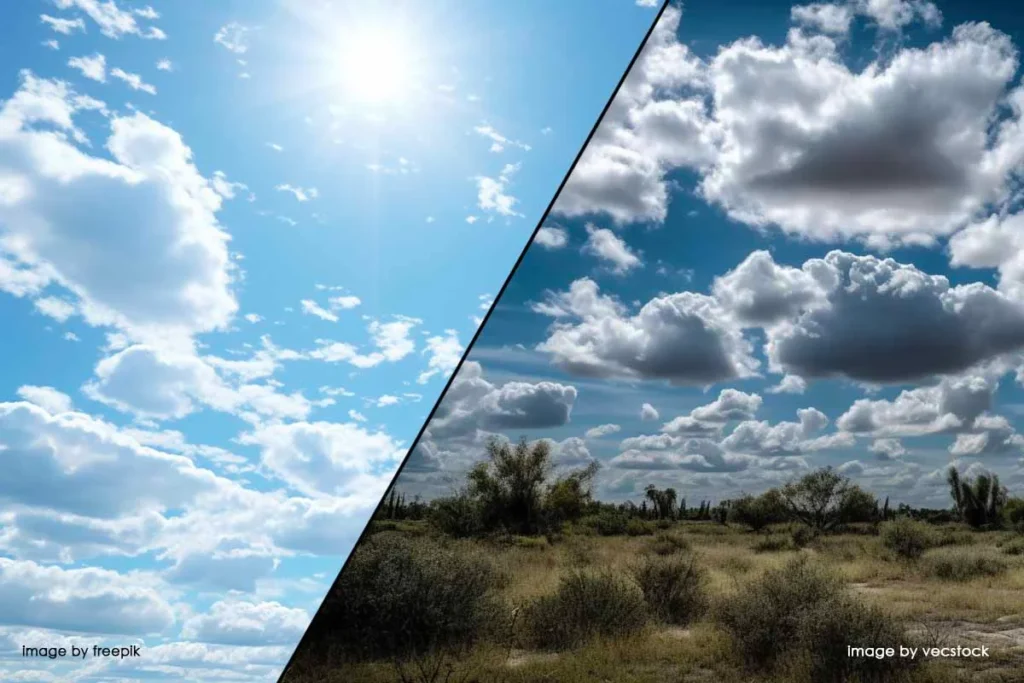 using sunlight for photography