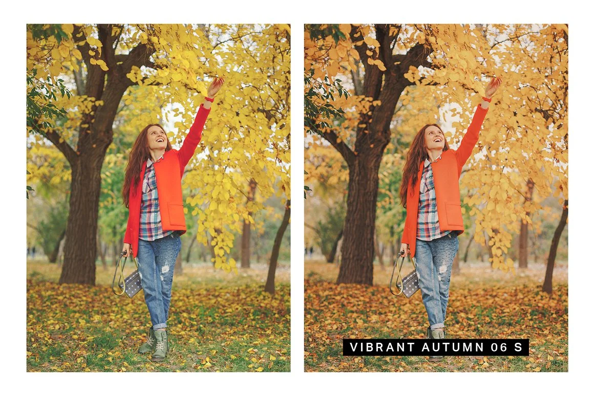 autumn lightroom presets