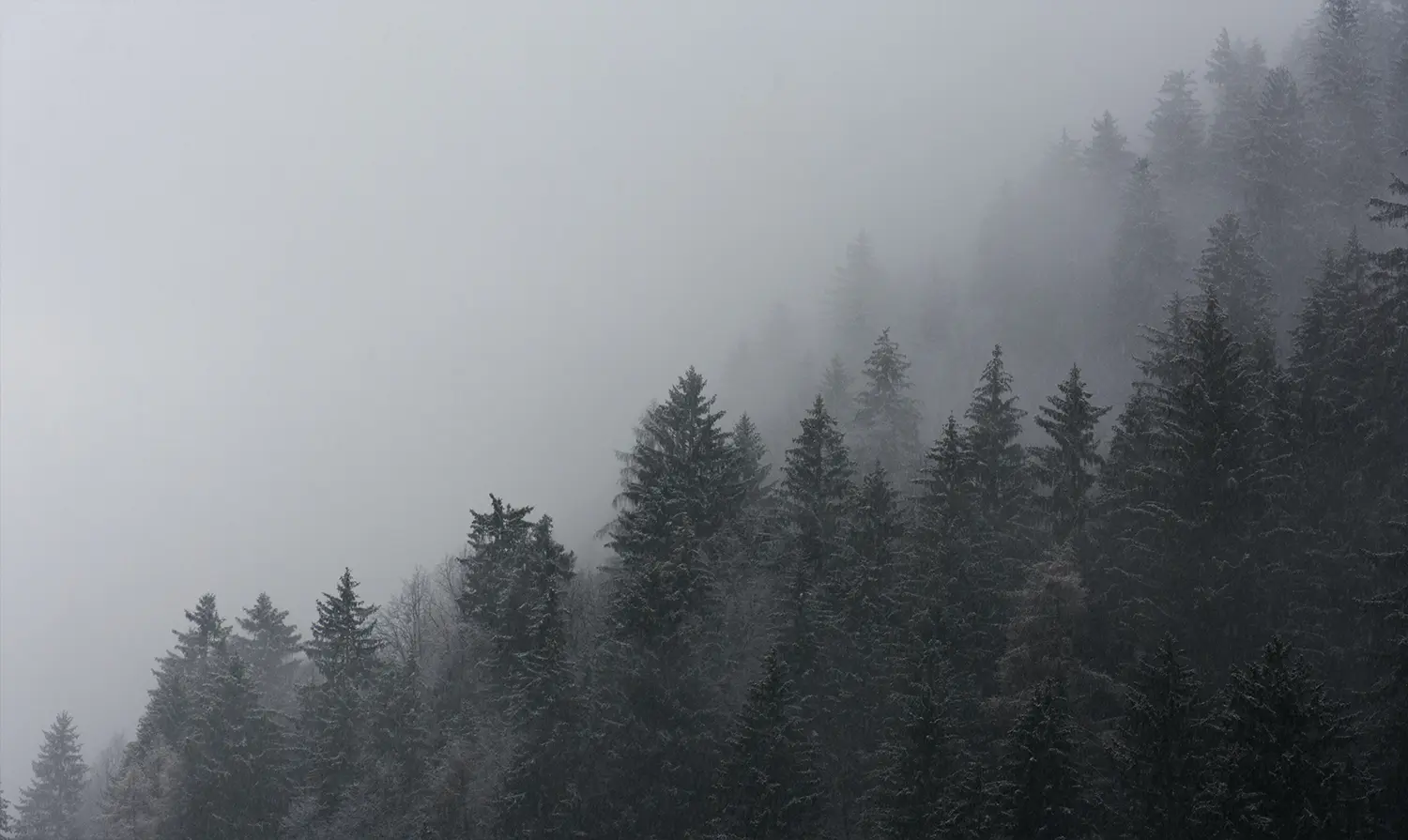 create outstanding landscapes-before