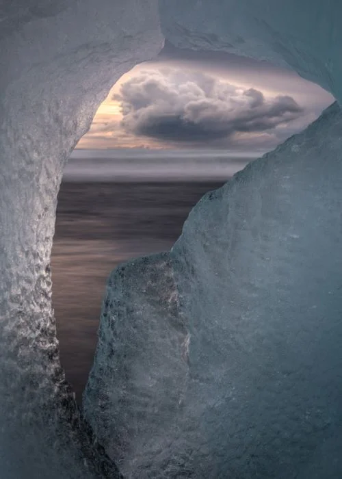 Nature Photo by alister benn